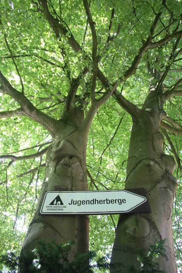 Jugendherberge Flensburg Dış mekan fotoğraf